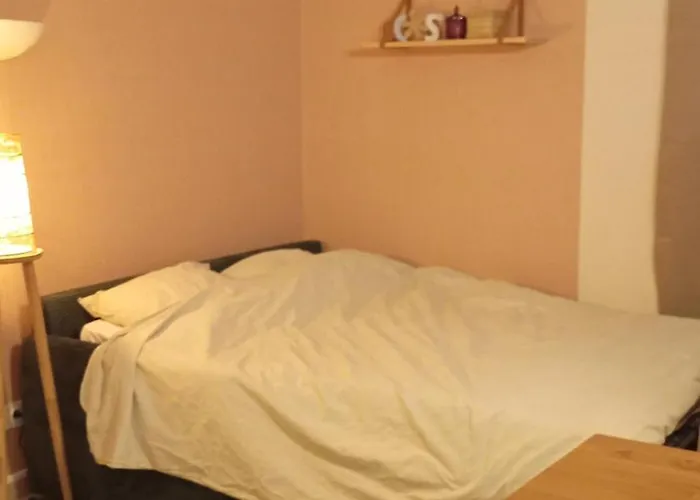 Le Cocon Des Rosies Le Eleanor Roosevelt *