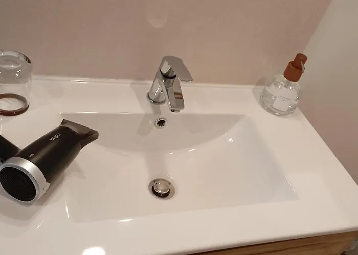 Le Cocon Des Rosies Le Eleanor Roosevelt Apartment *